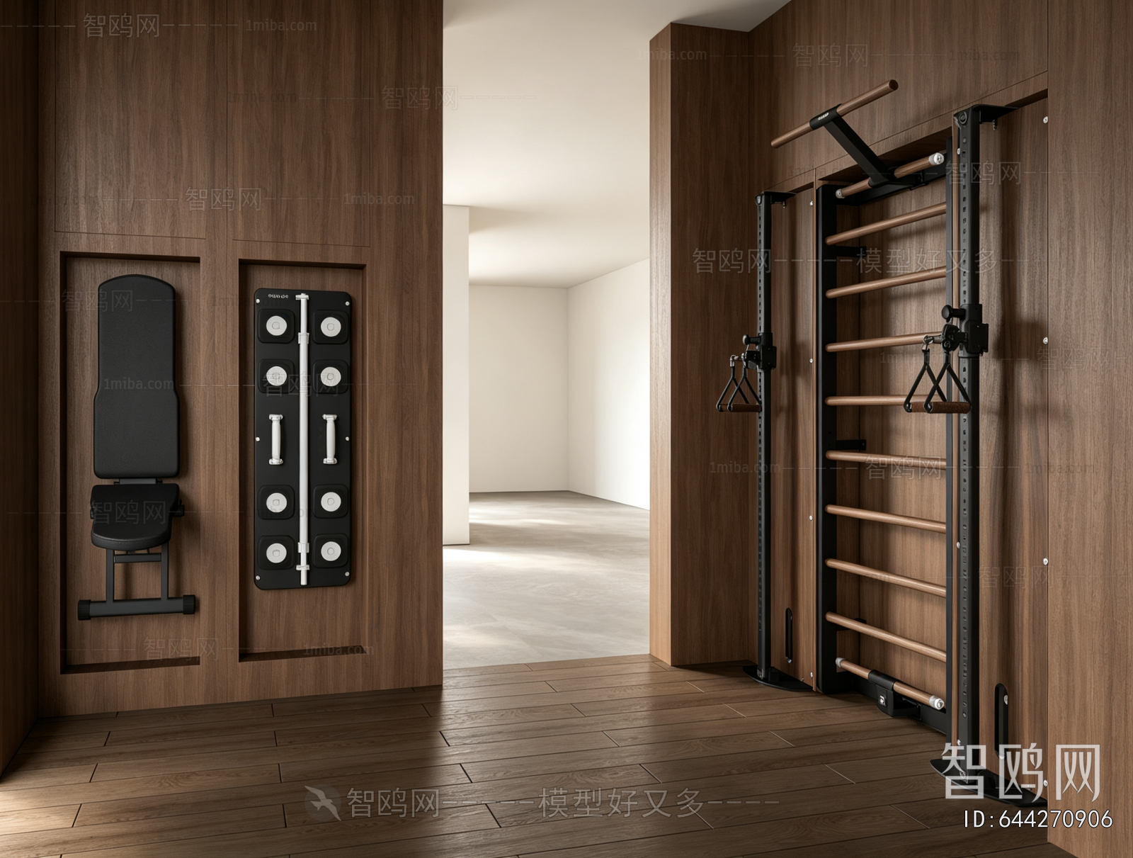 Modern Home Fitness Room