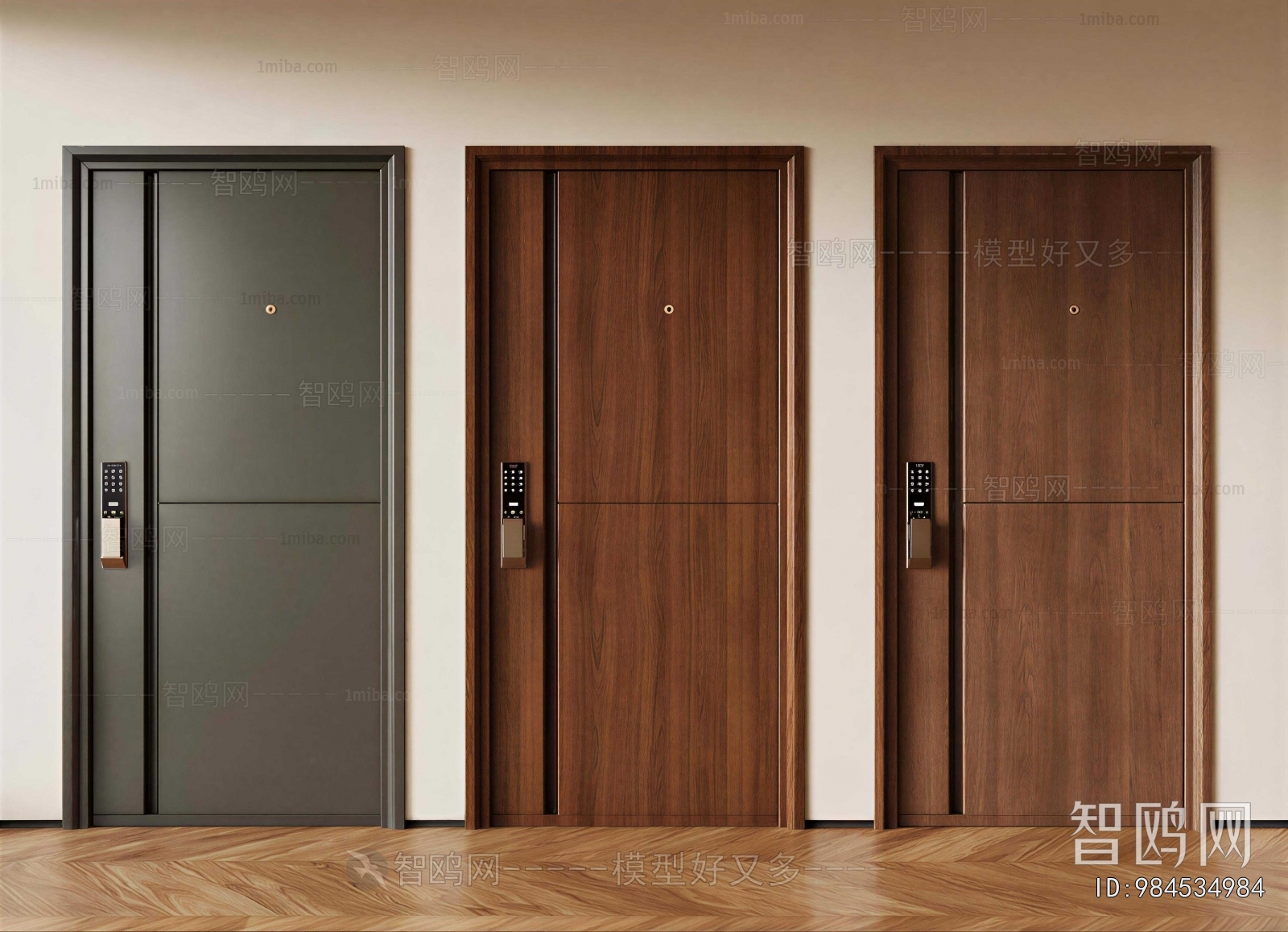 Modern Entrance Door