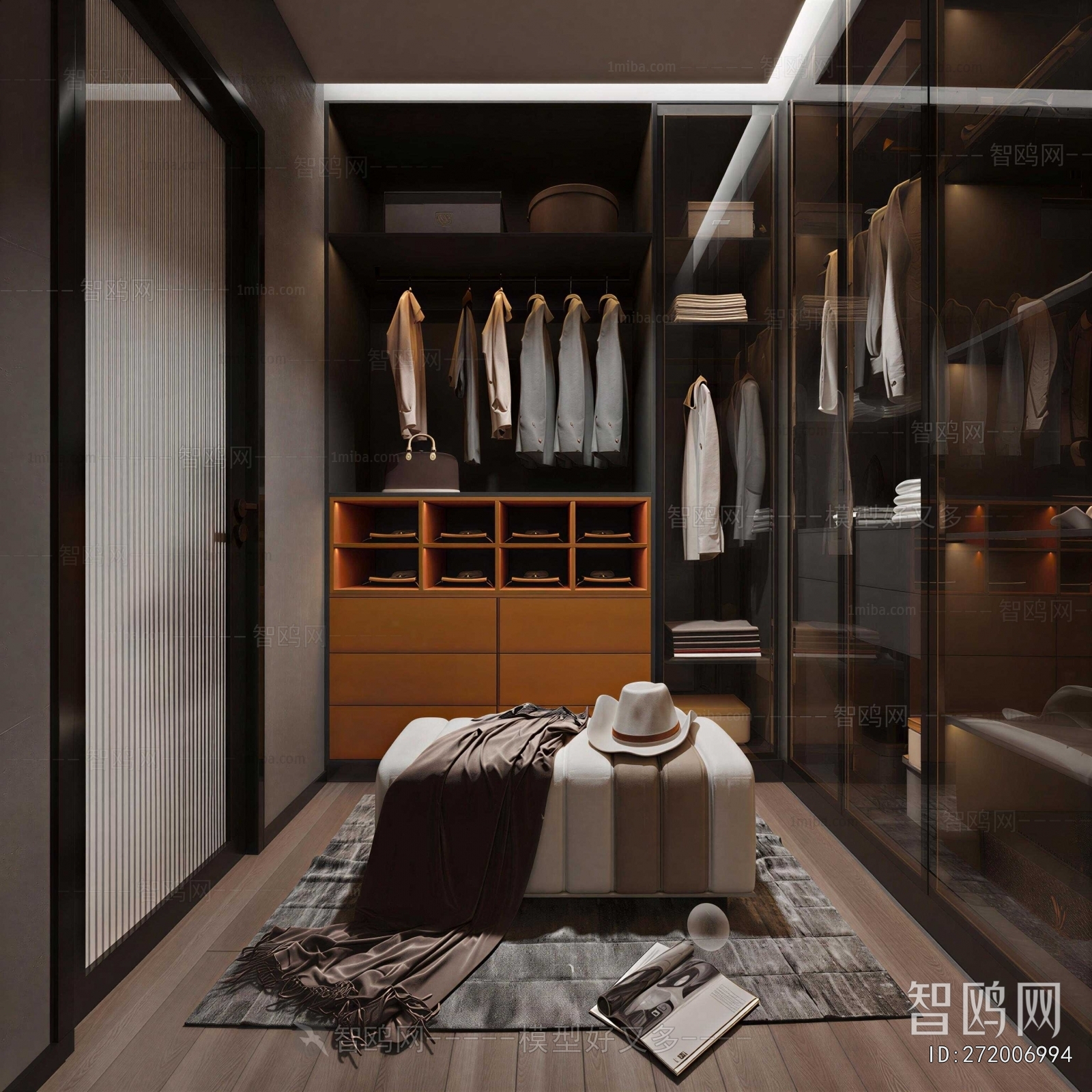 Modern Clothes Storage Area