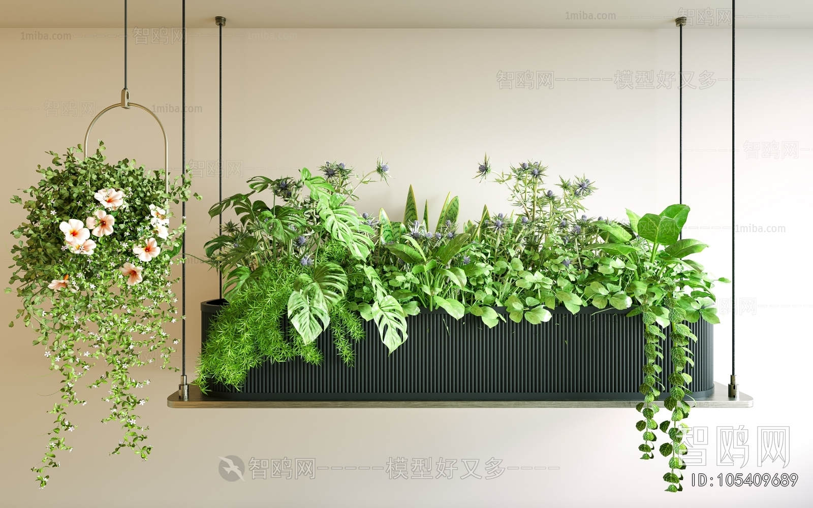 Modern Plant Landscaping