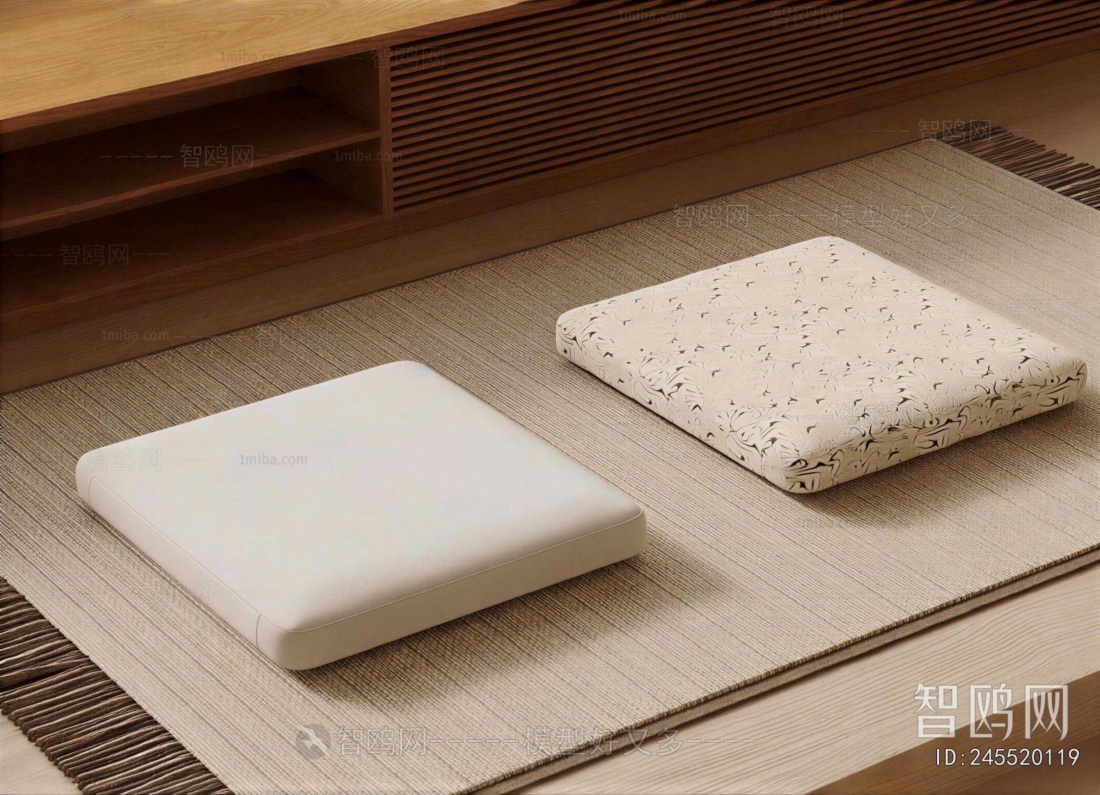 Modern Cushion