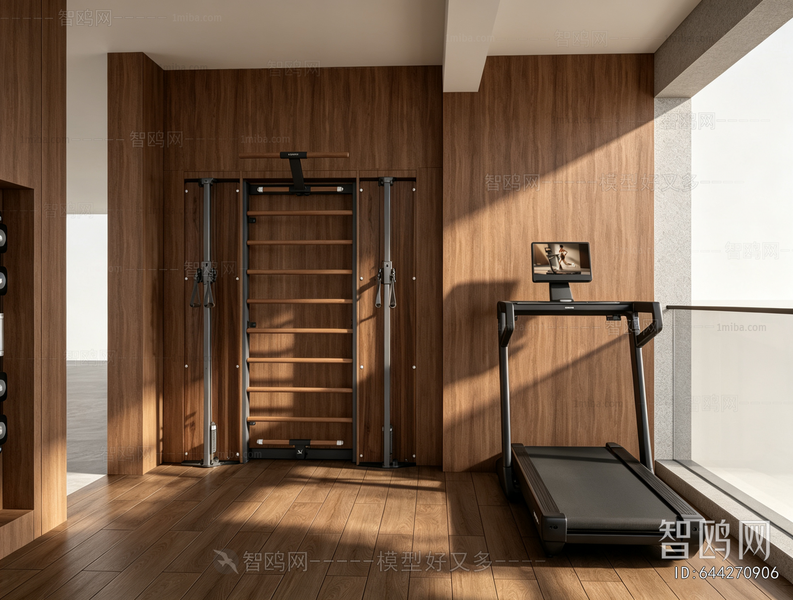 Modern Home Fitness Room