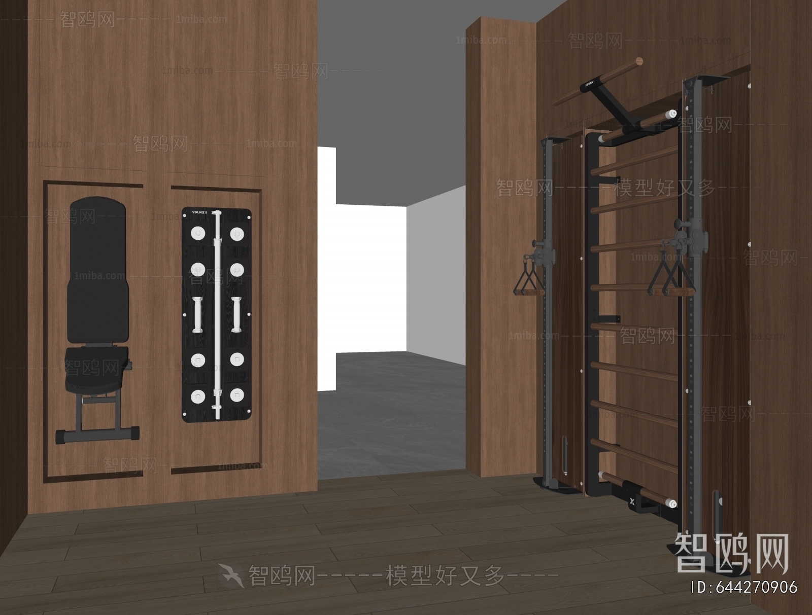 Modern Home Fitness Room