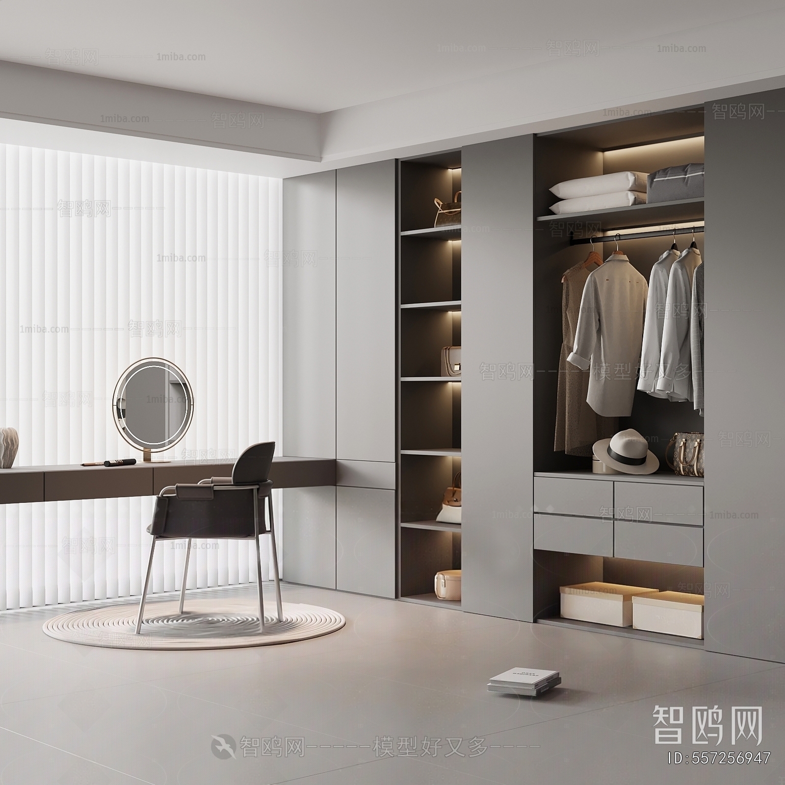 Modern Clothes Storage Area
