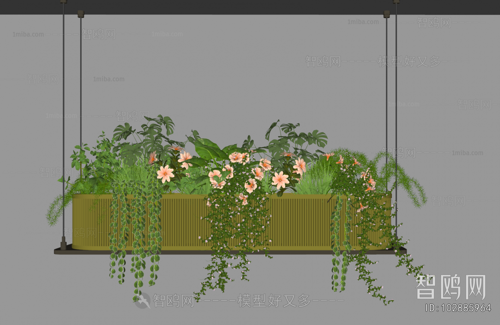 Modern Plant Landscaping