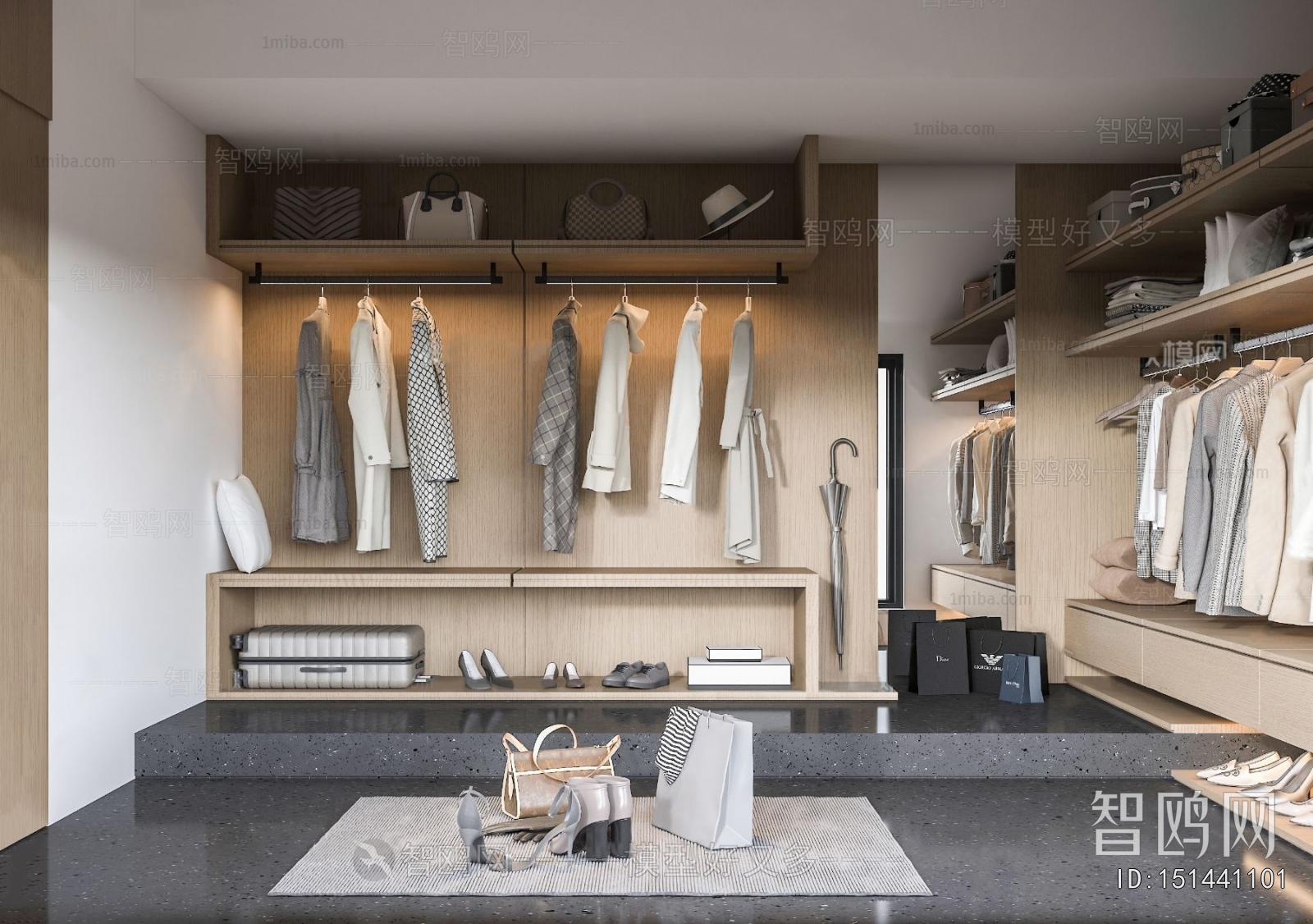 Modern Clothes Storage Area