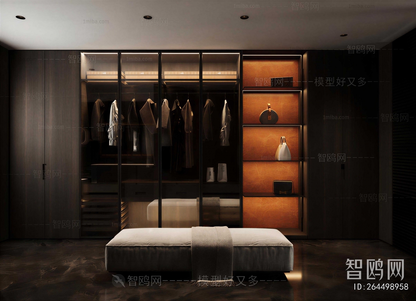 Modern Clothes Storage Area