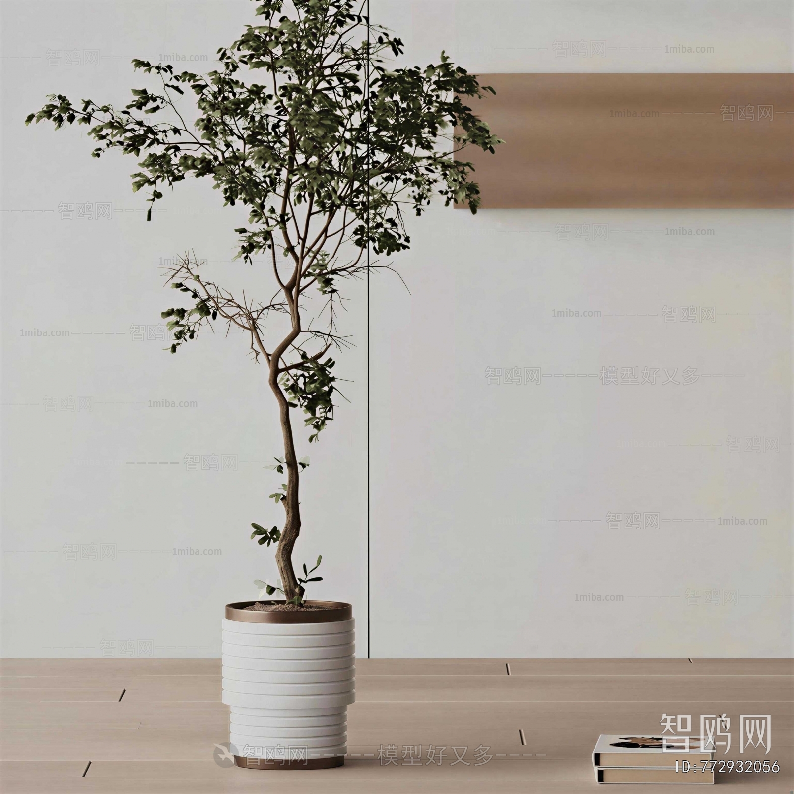 Modern Ground Green Plant Potted Plants