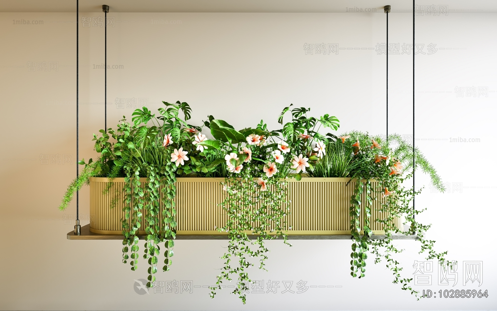 Modern Plant Landscaping