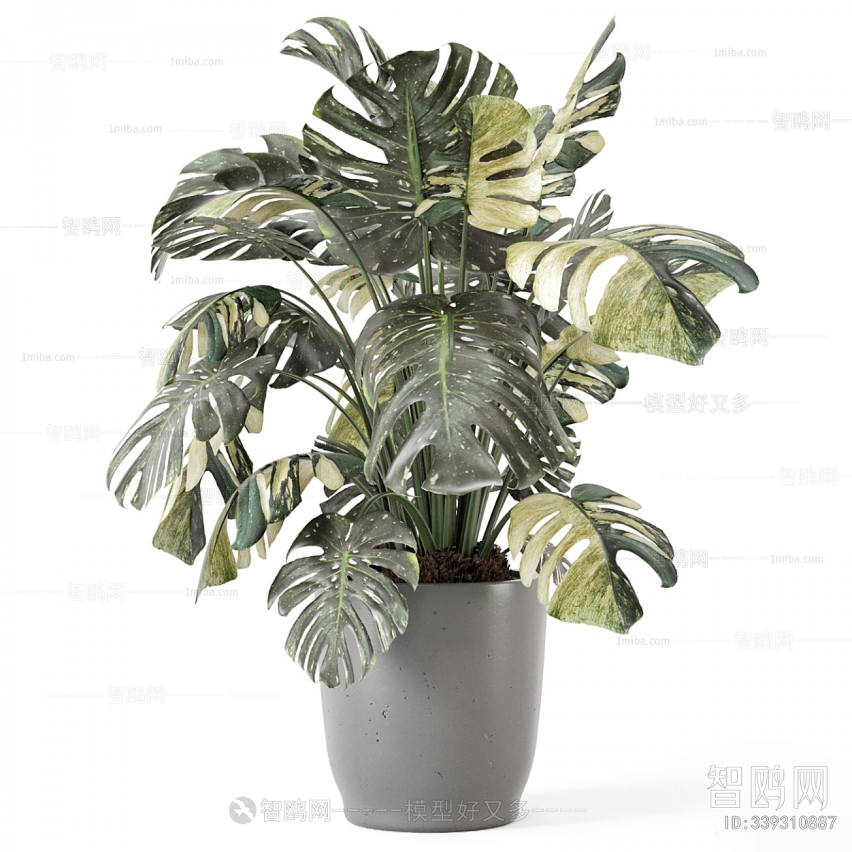 Modern Ground Green Plant Potted Plants