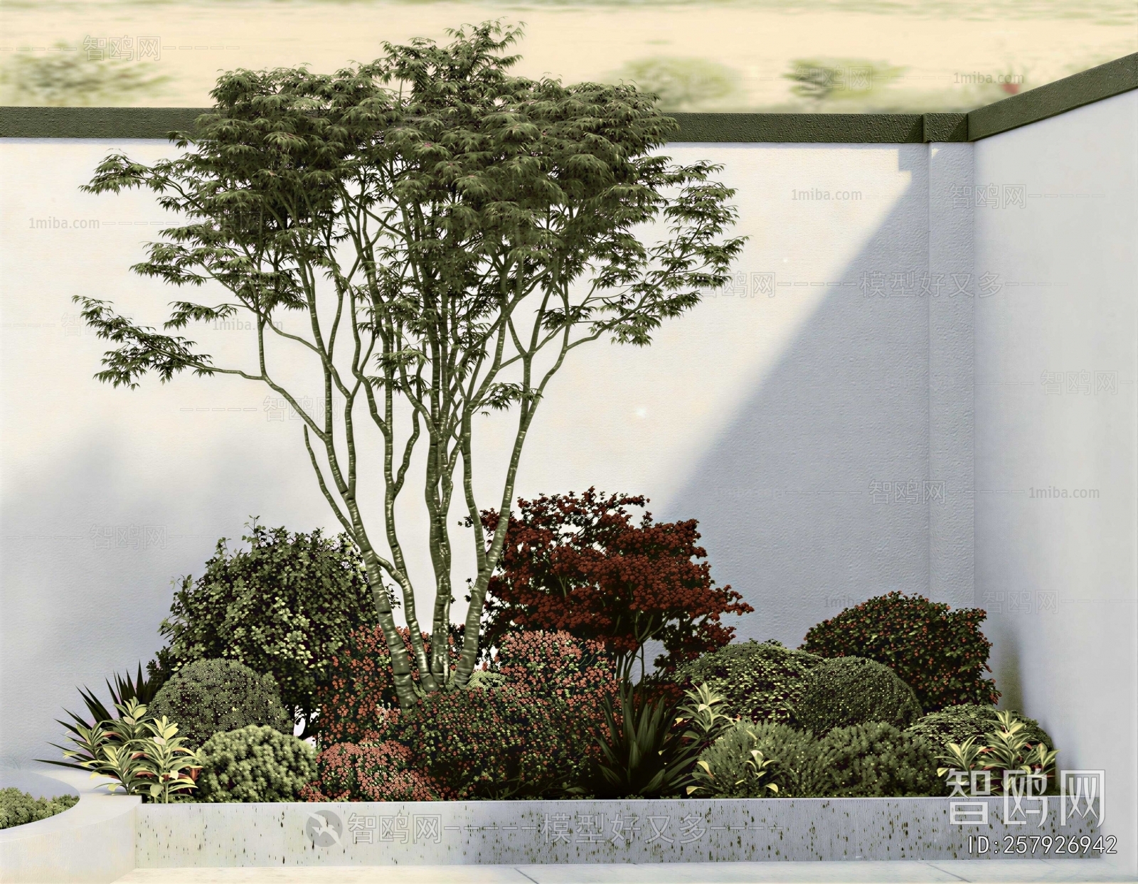 Modern Plant Landscaping