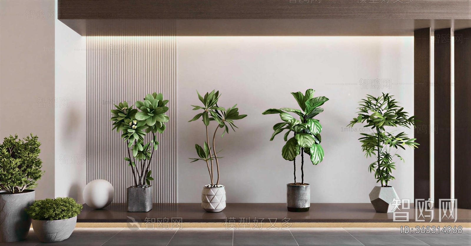 Modern Ground Green Plant Potted Plants