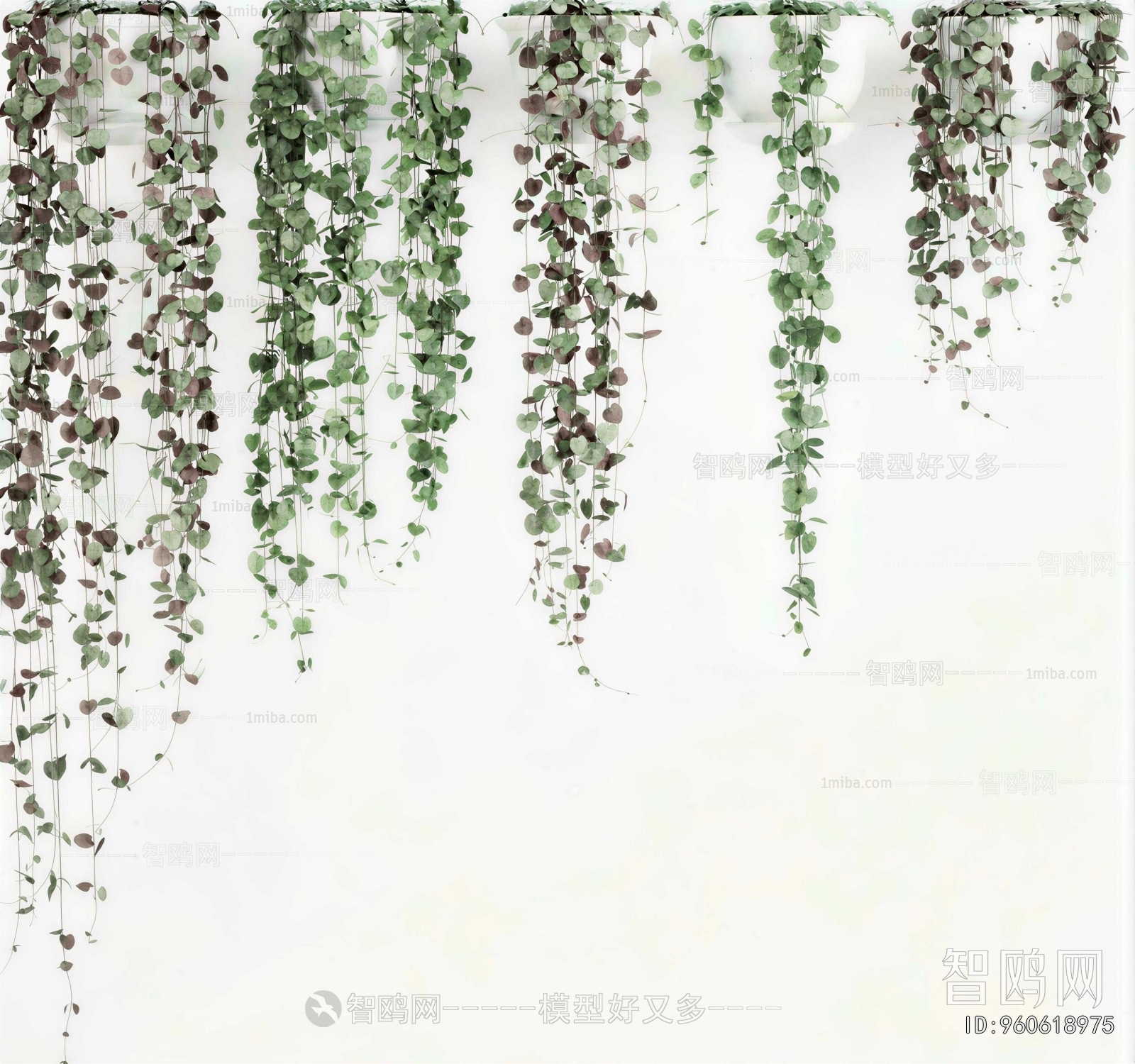 Modern Vine