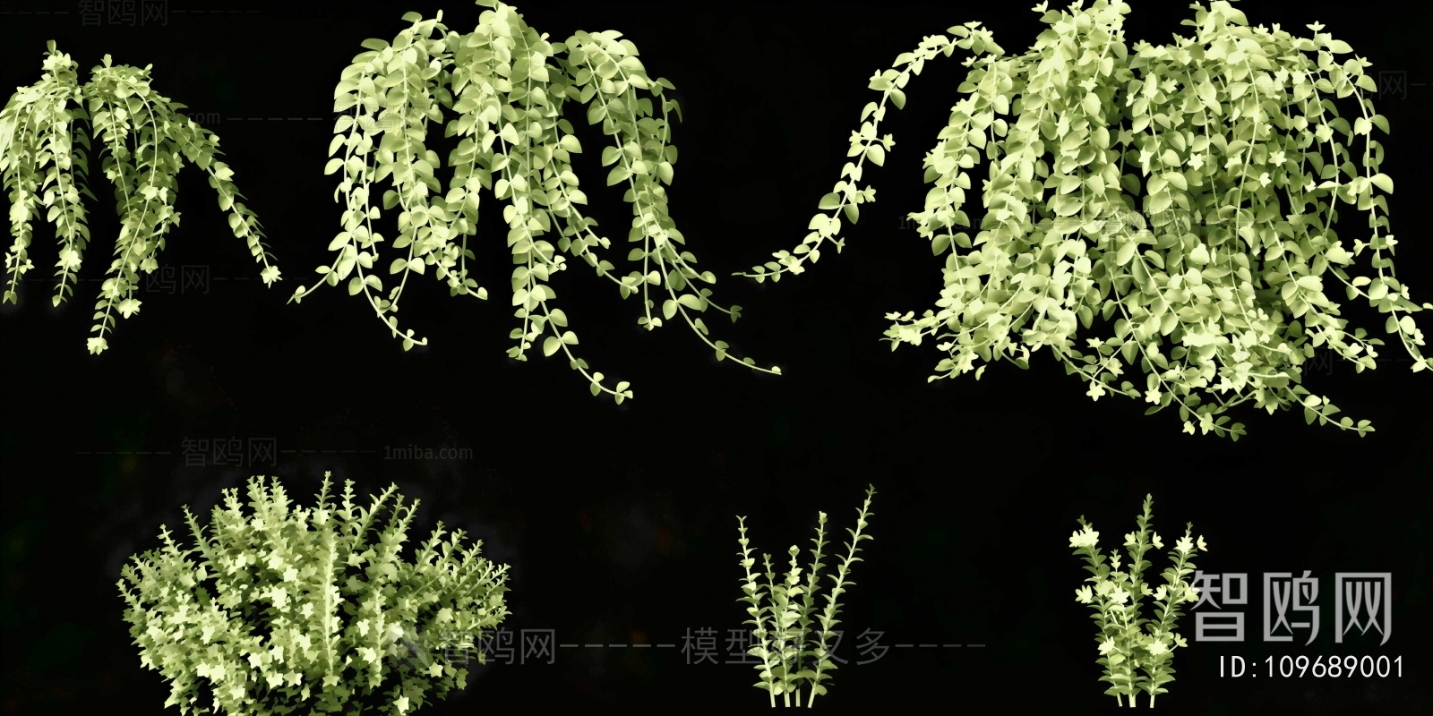Modern Vine