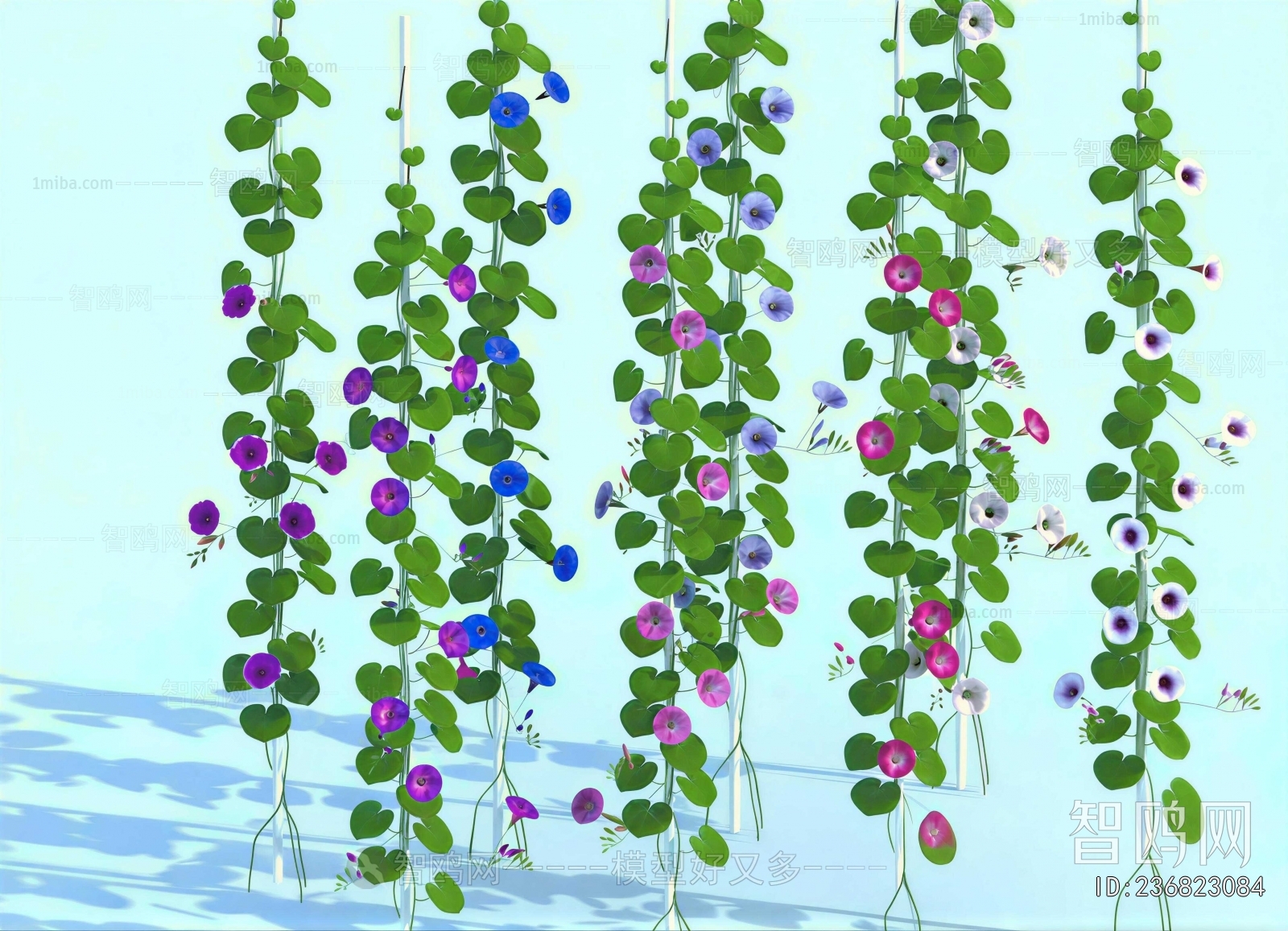 Modern Vine