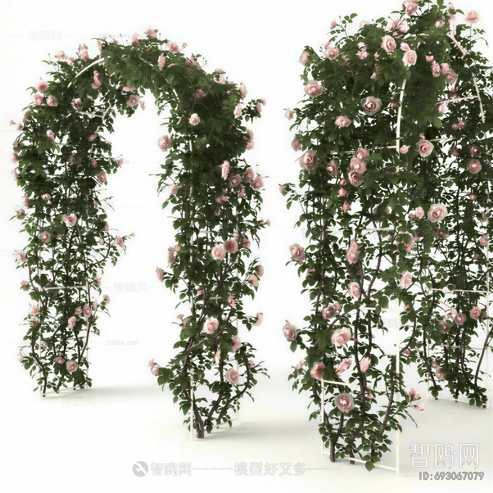Modern Vine