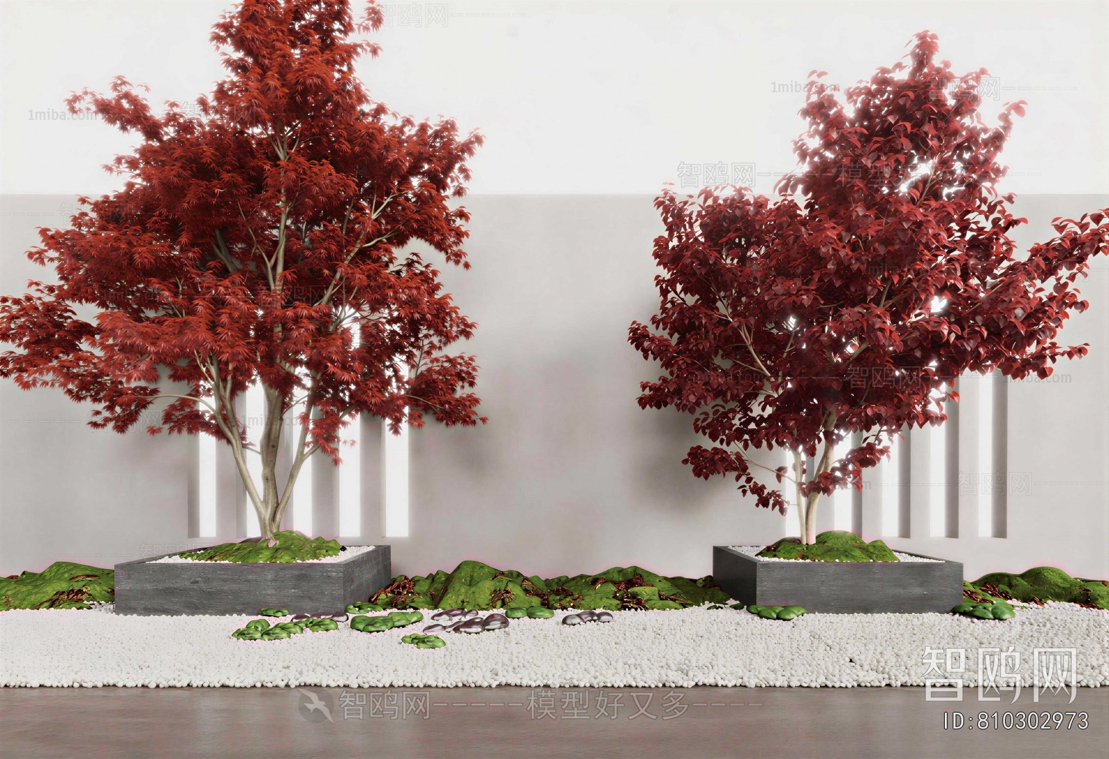 Modern Plant Landscaping