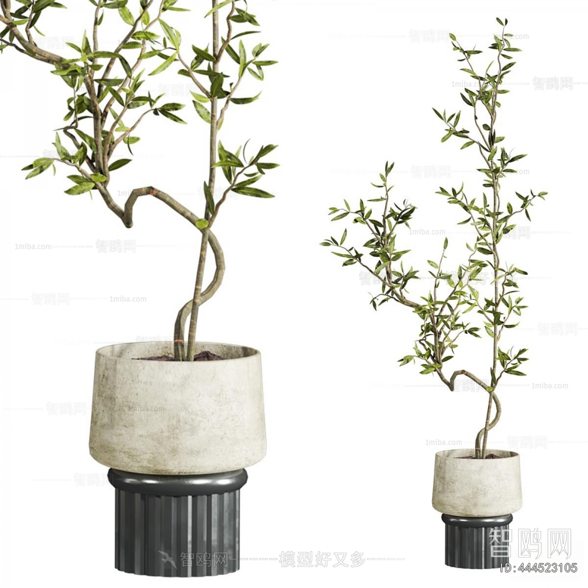 Modern Ground Green Plant Potted Plants