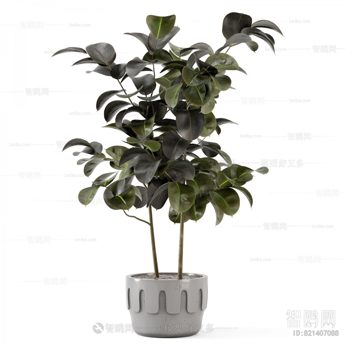 Modern Ground Green Plant Potted Plants