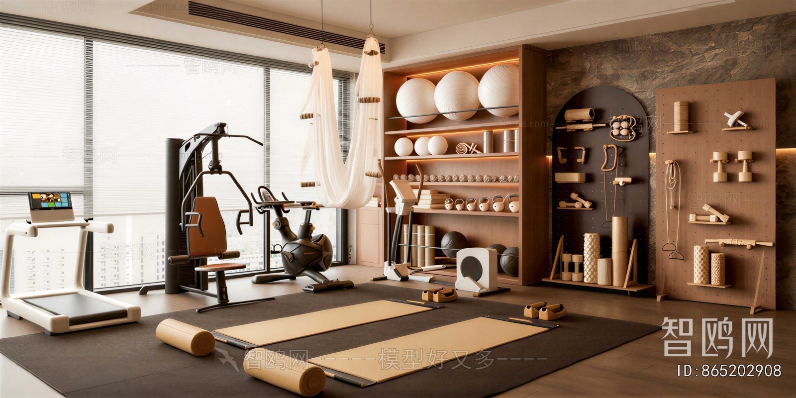 Modern Home Fitness Room