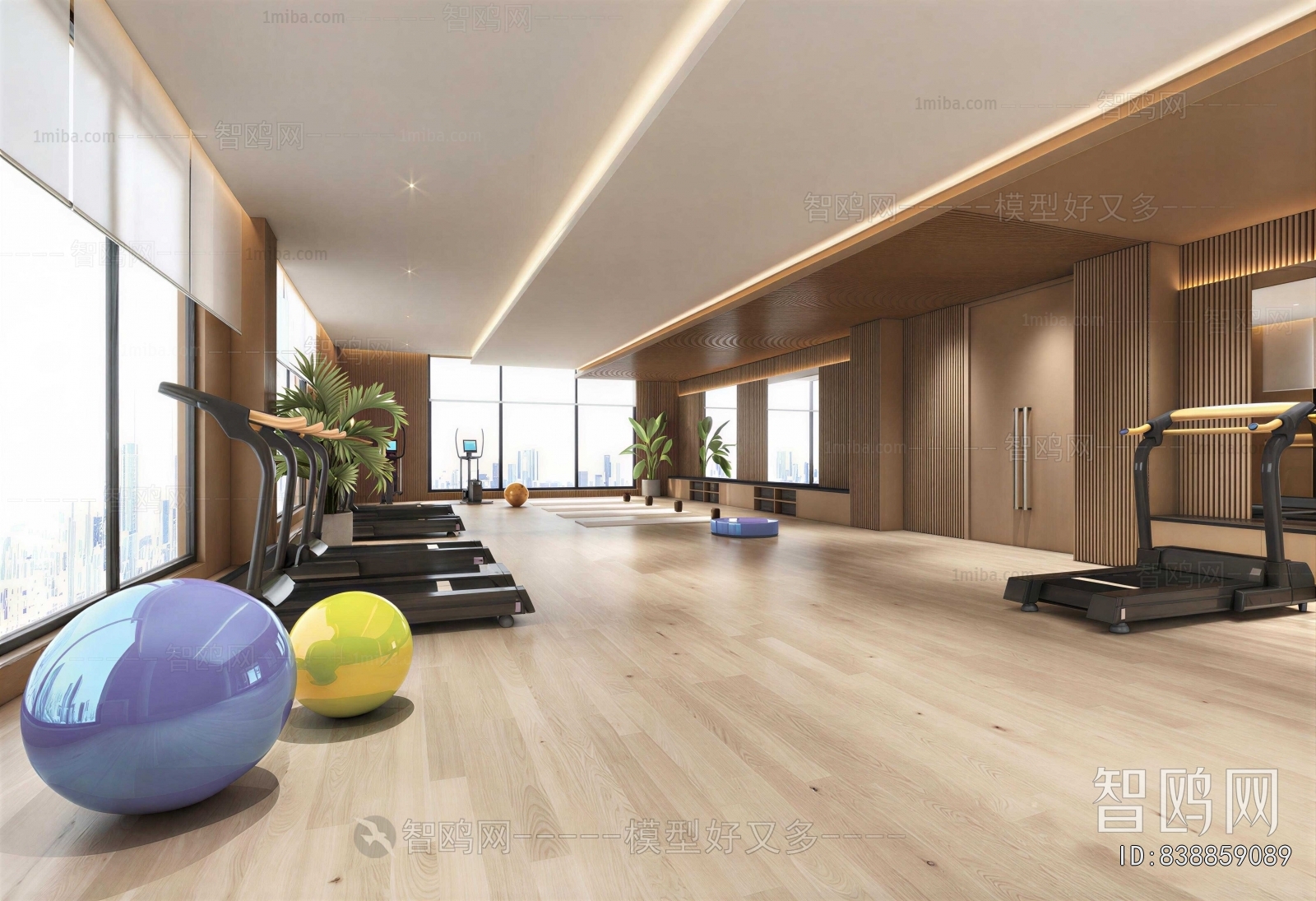 Modern Gym
