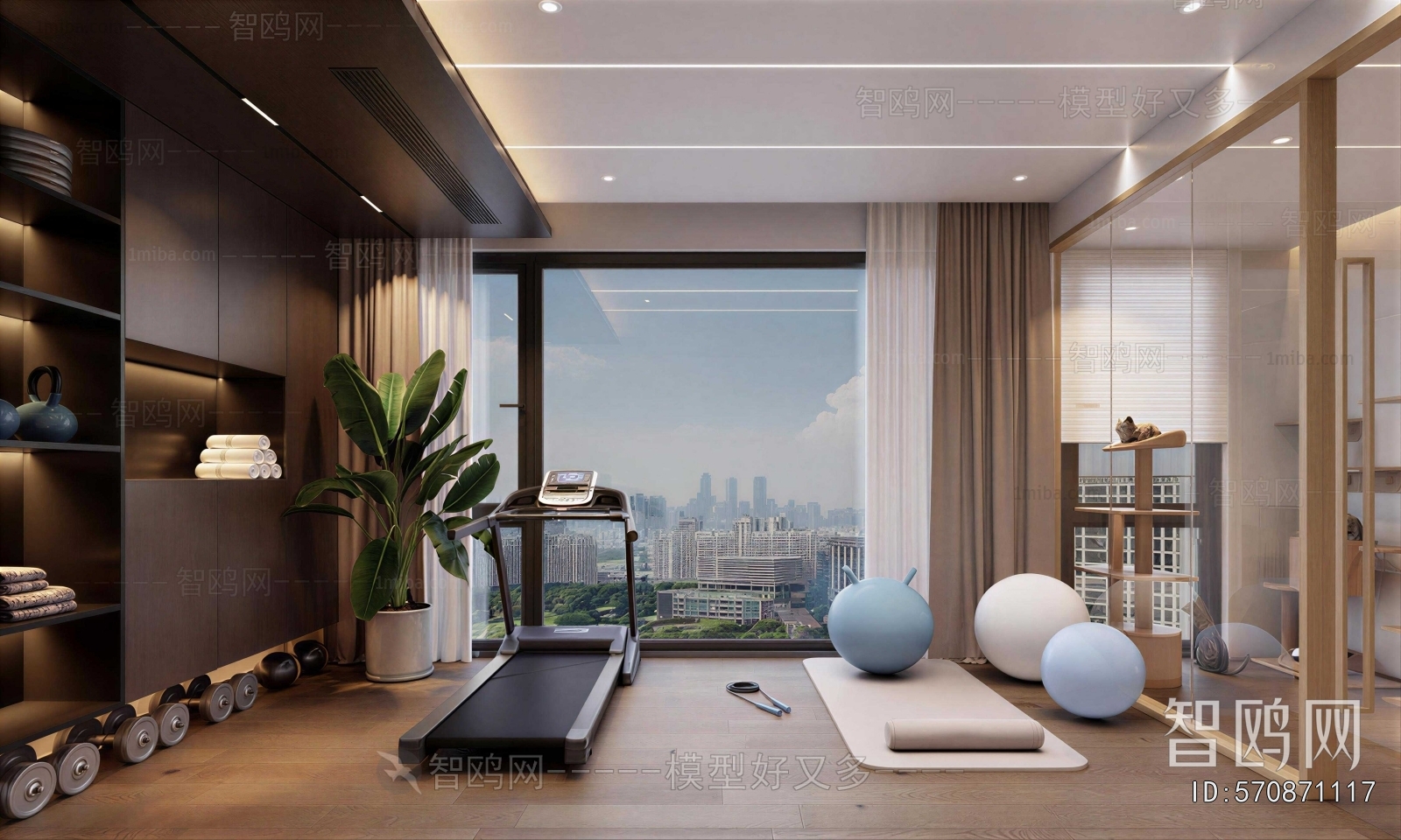 Modern Home Fitness Room