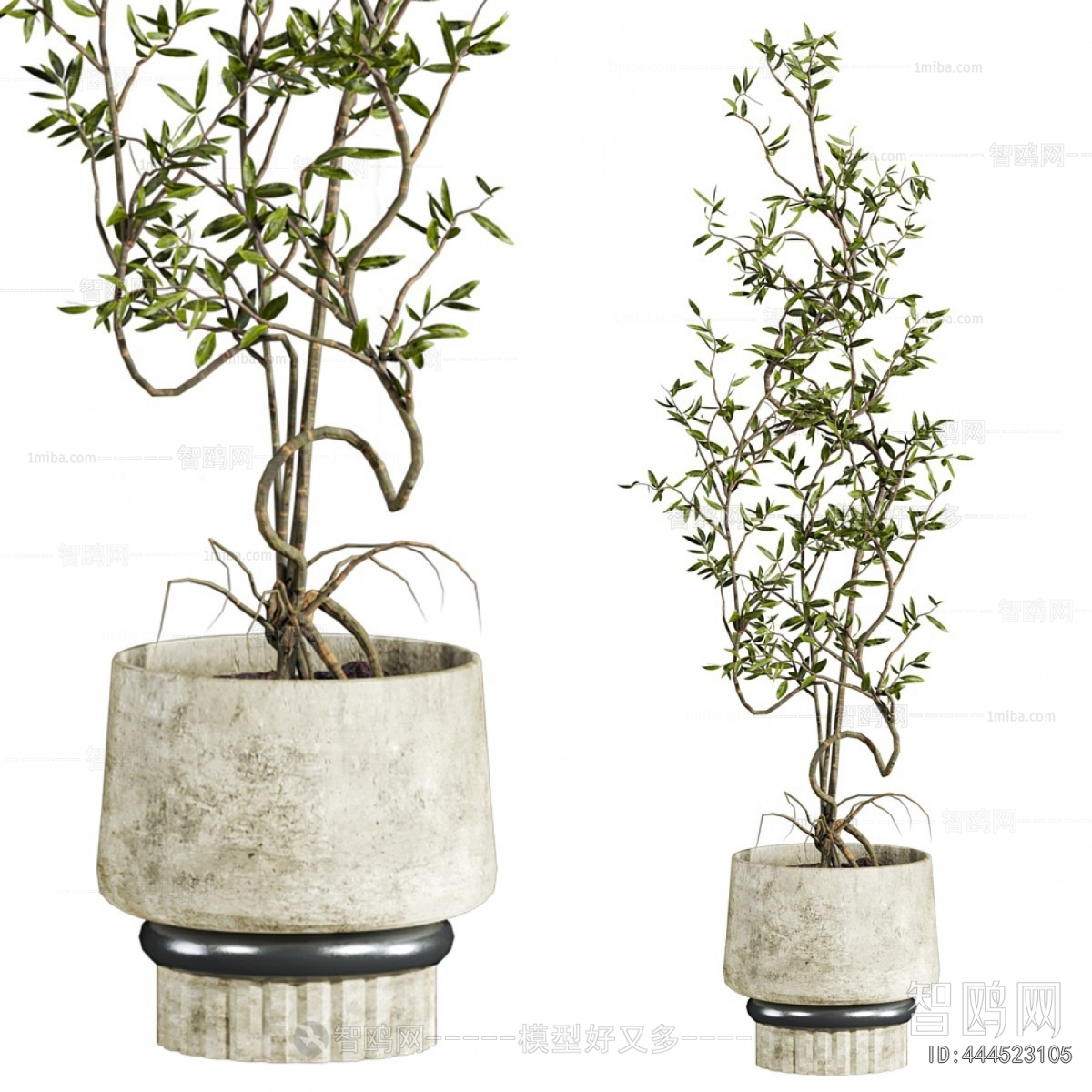 Modern Ground Green Plant Potted Plants