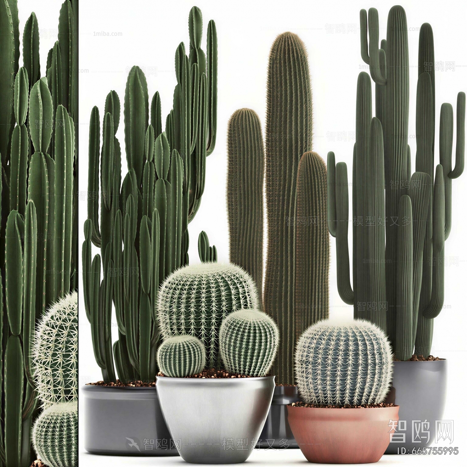Modern Potted Green Plant