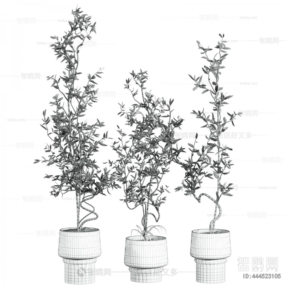Modern Ground Green Plant Potted Plants