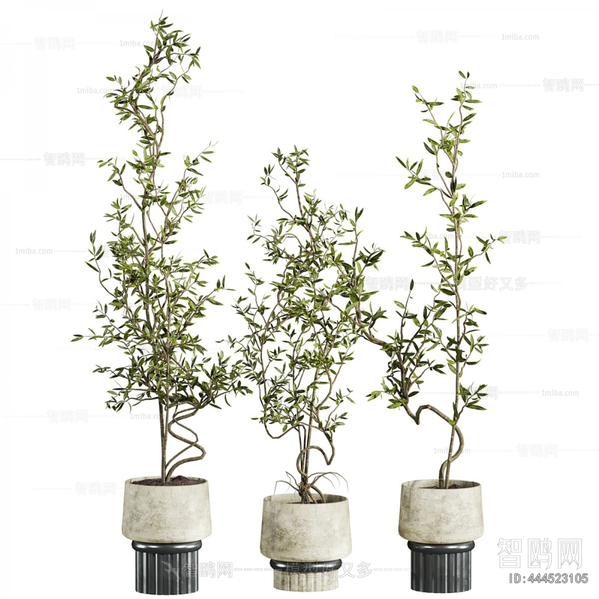 Modern Ground Green Plant Potted Plants