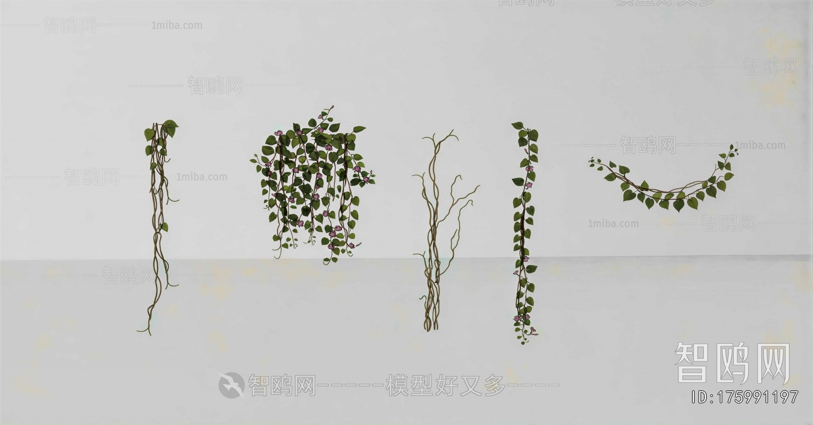Modern Vine