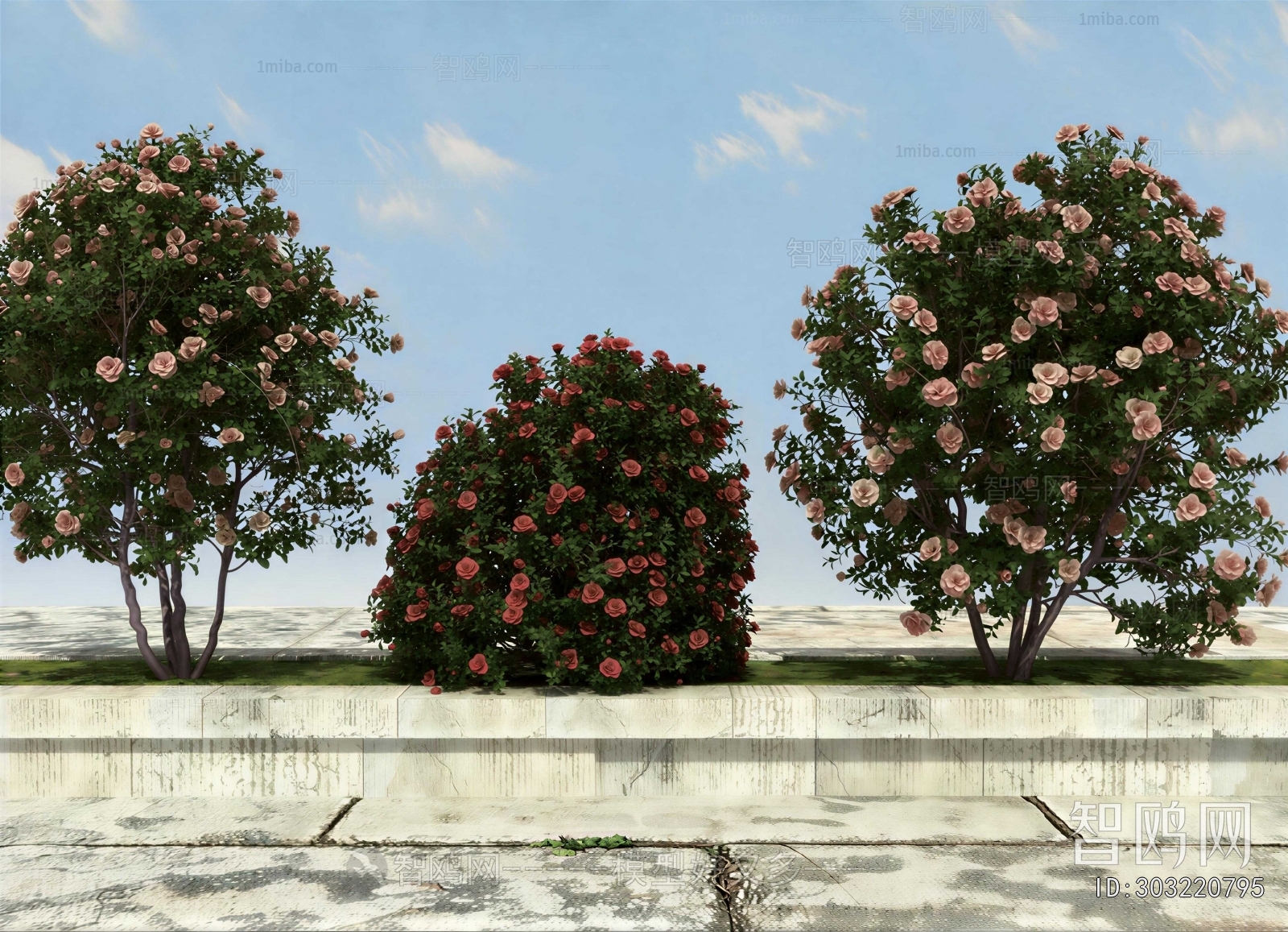 Modern Shrubbery