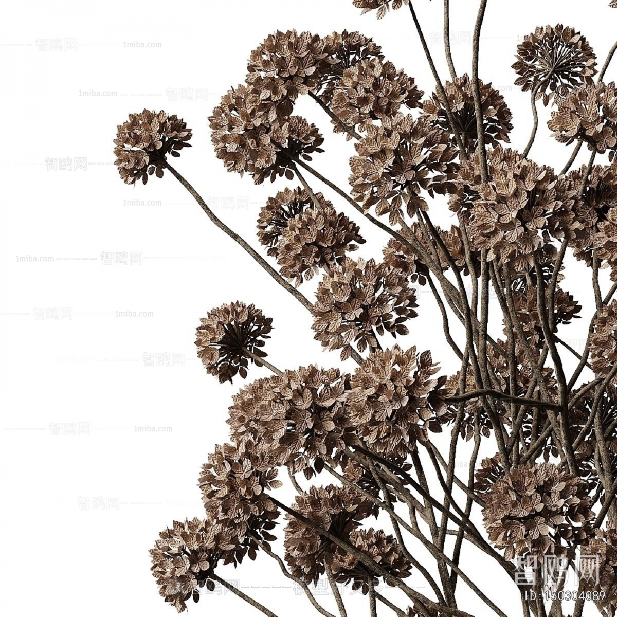 Wabi-sabi Style Flower Arrangement