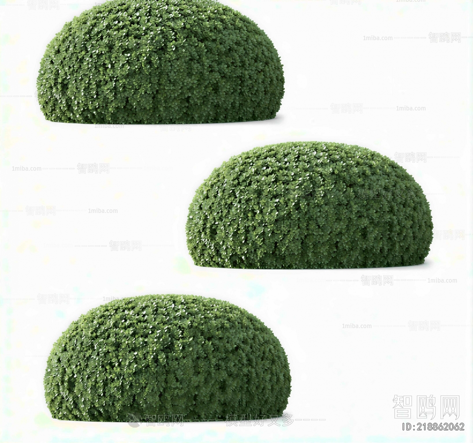 Modern Shrubbery
