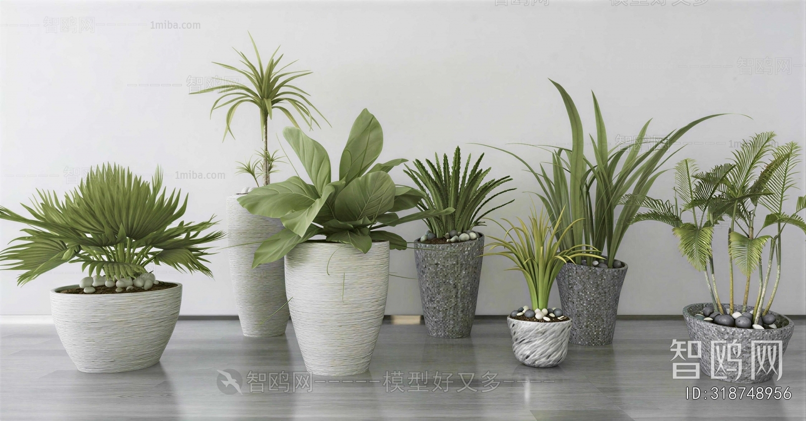 Modern Ground Green Plant Potted Plants