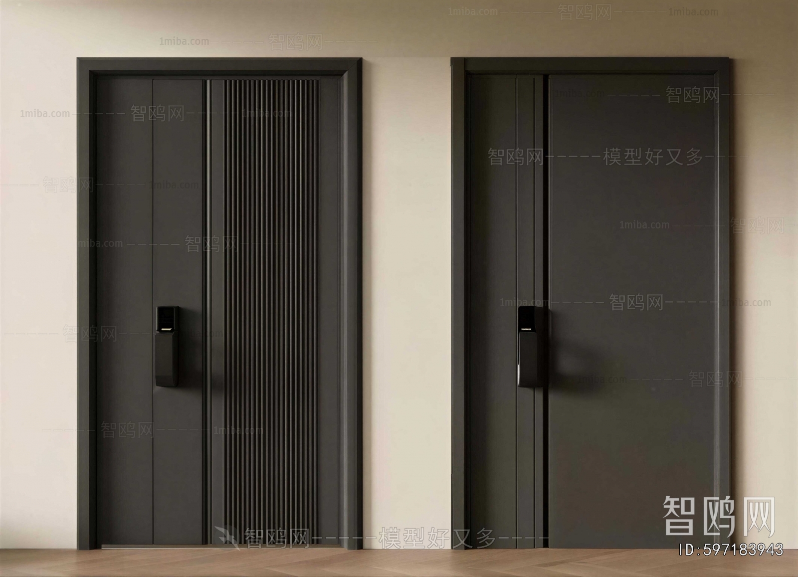 Modern Entrance Door