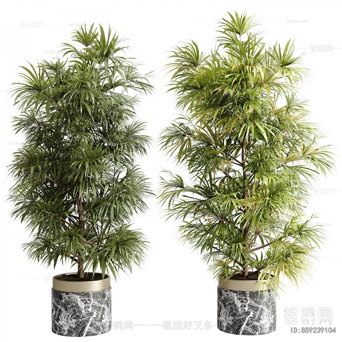 Modern Ground Green Plant Potted Plants