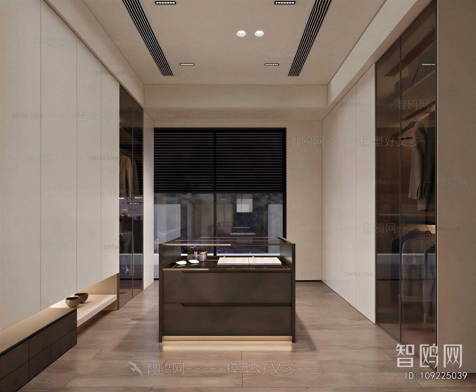 Modern Clothes Storage Area