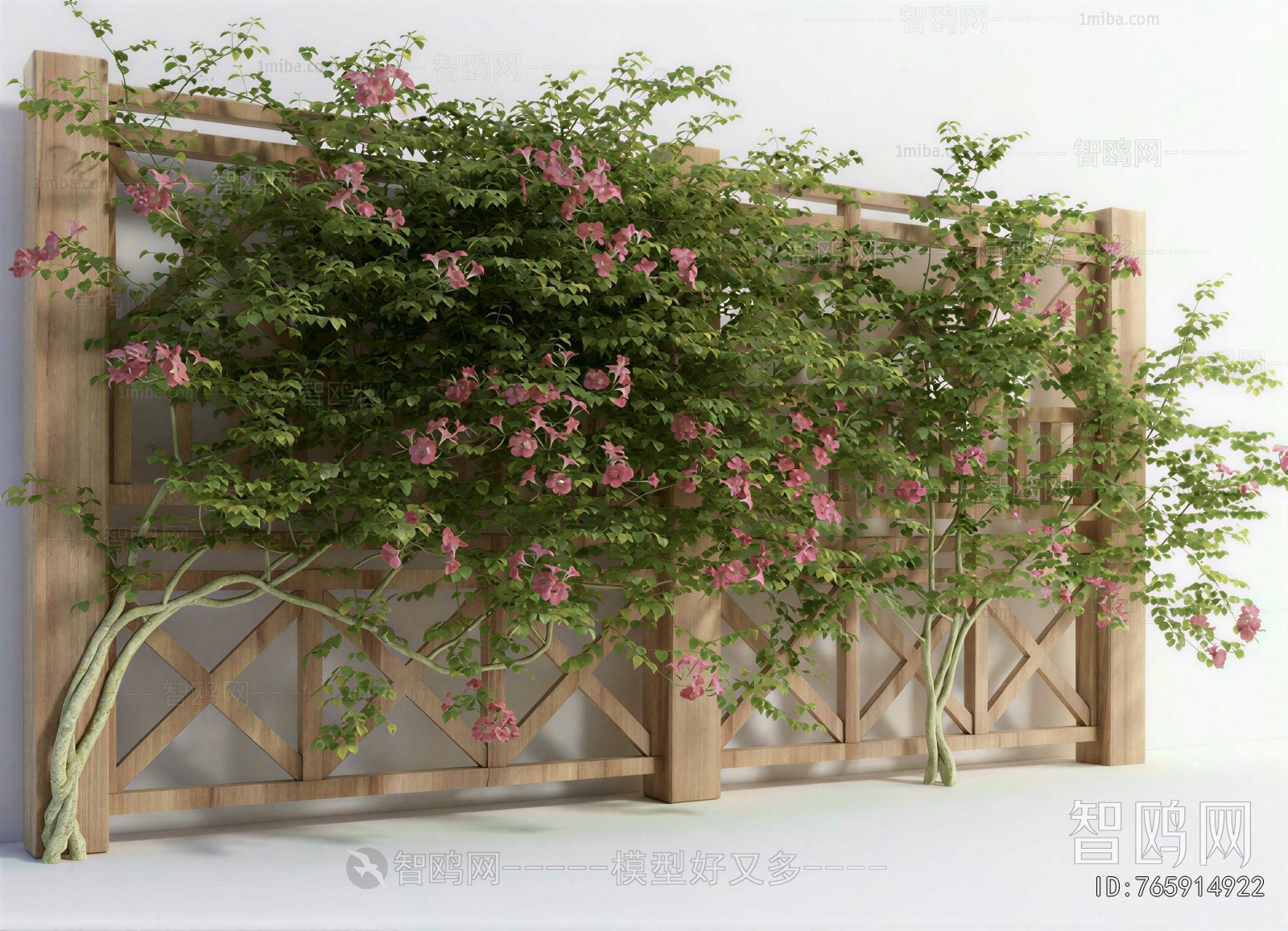 Modern Vine