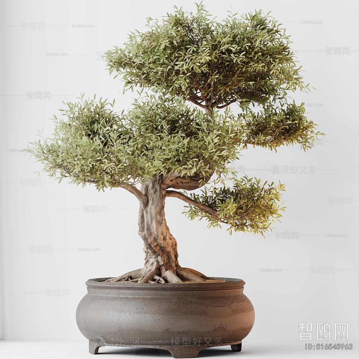 New Chinese Style Bonsai