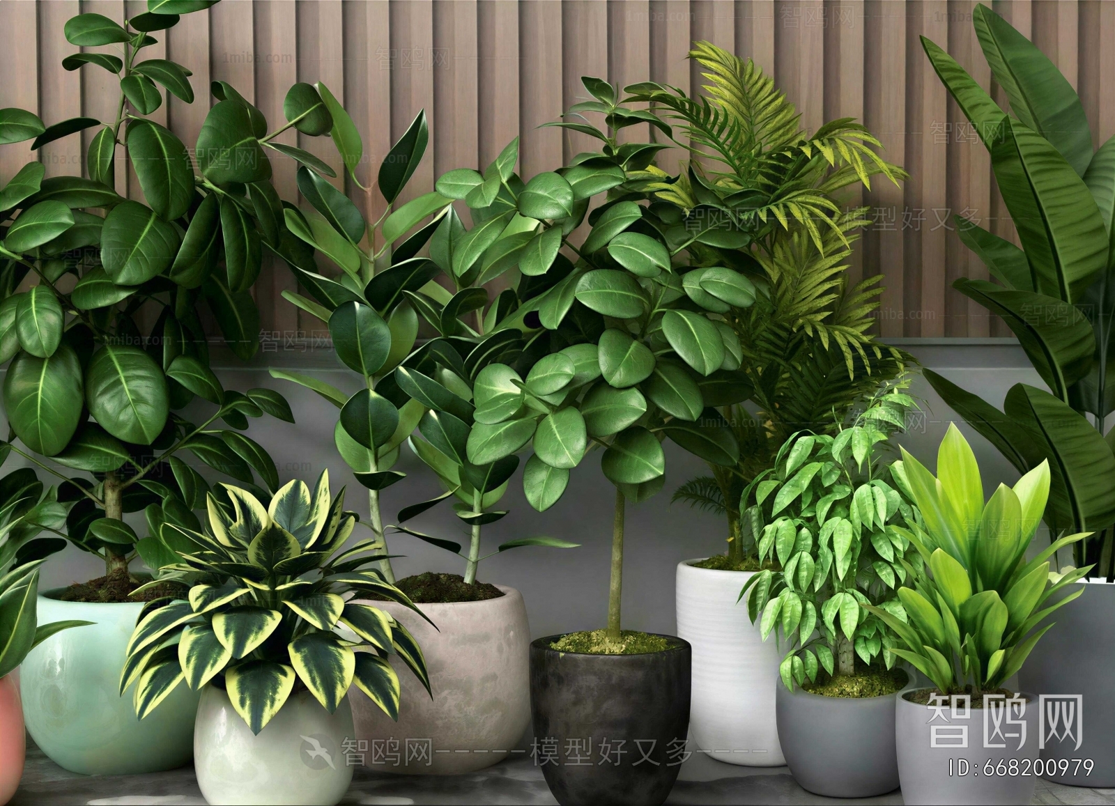 Modern Ground Green Plant Potted Plants