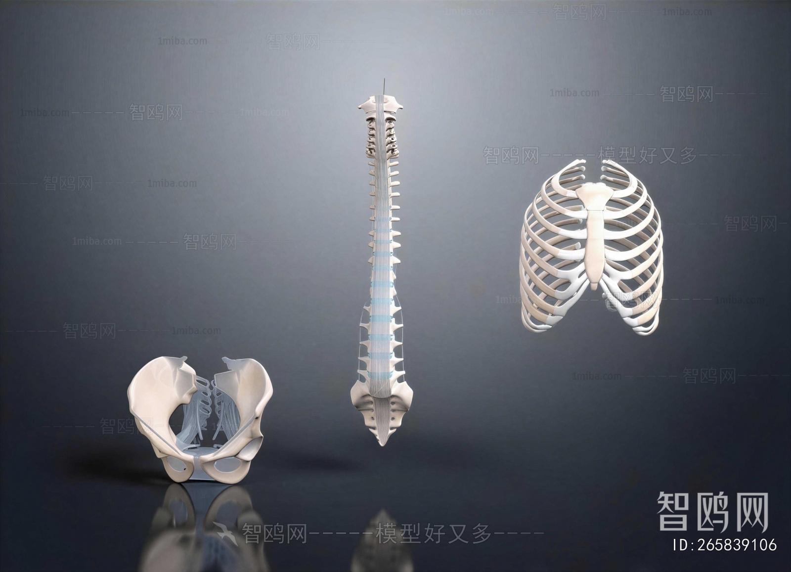 Modern Medical Equipment