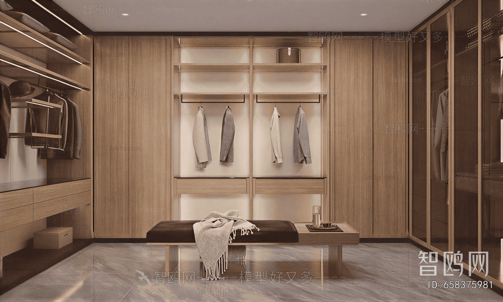 Modern Clothes Storage Area