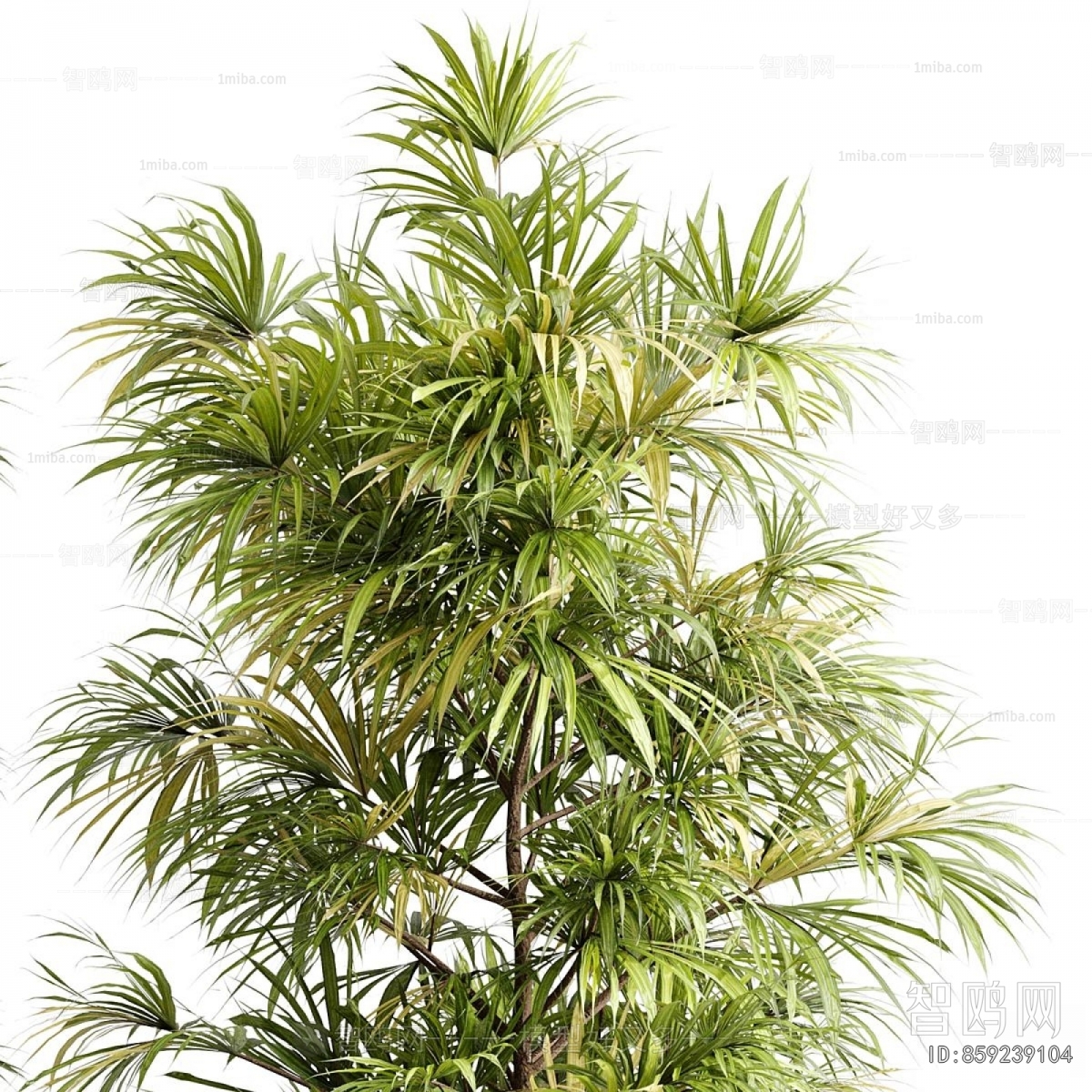 Modern Ground Green Plant Potted Plants