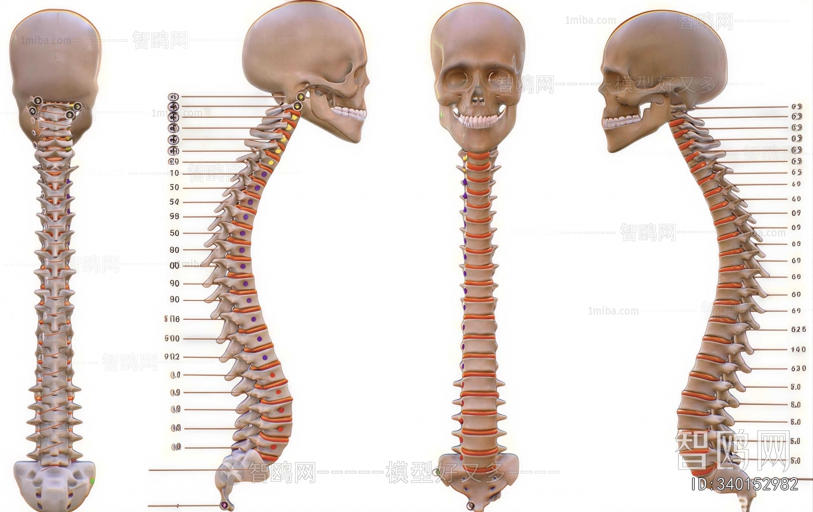 Modern Medical Equipment