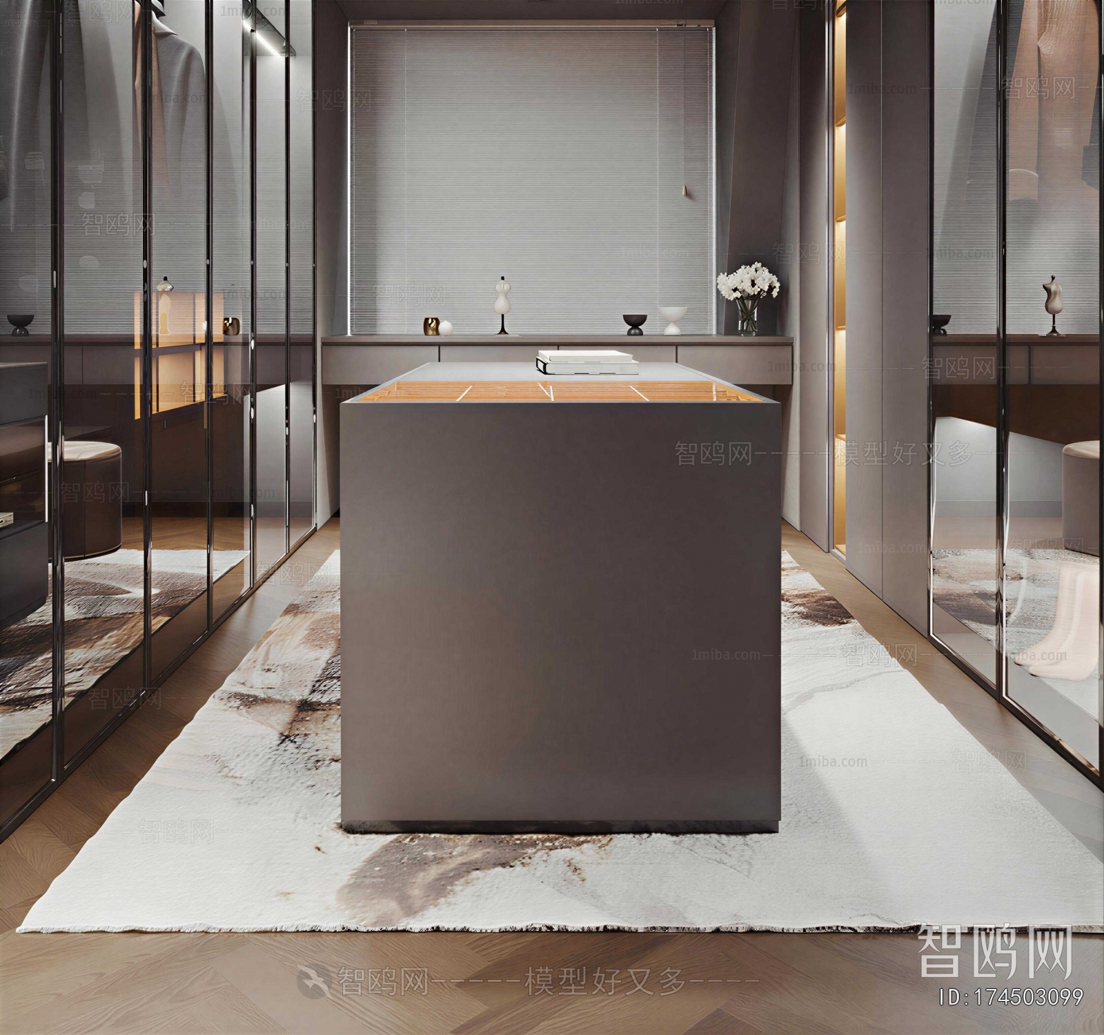 Modern Clothes Storage Area