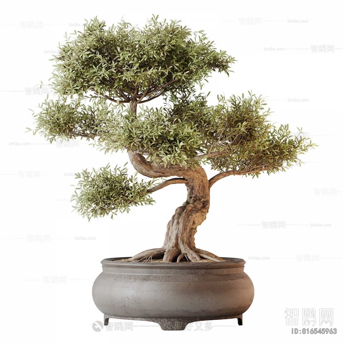 New Chinese Style Bonsai