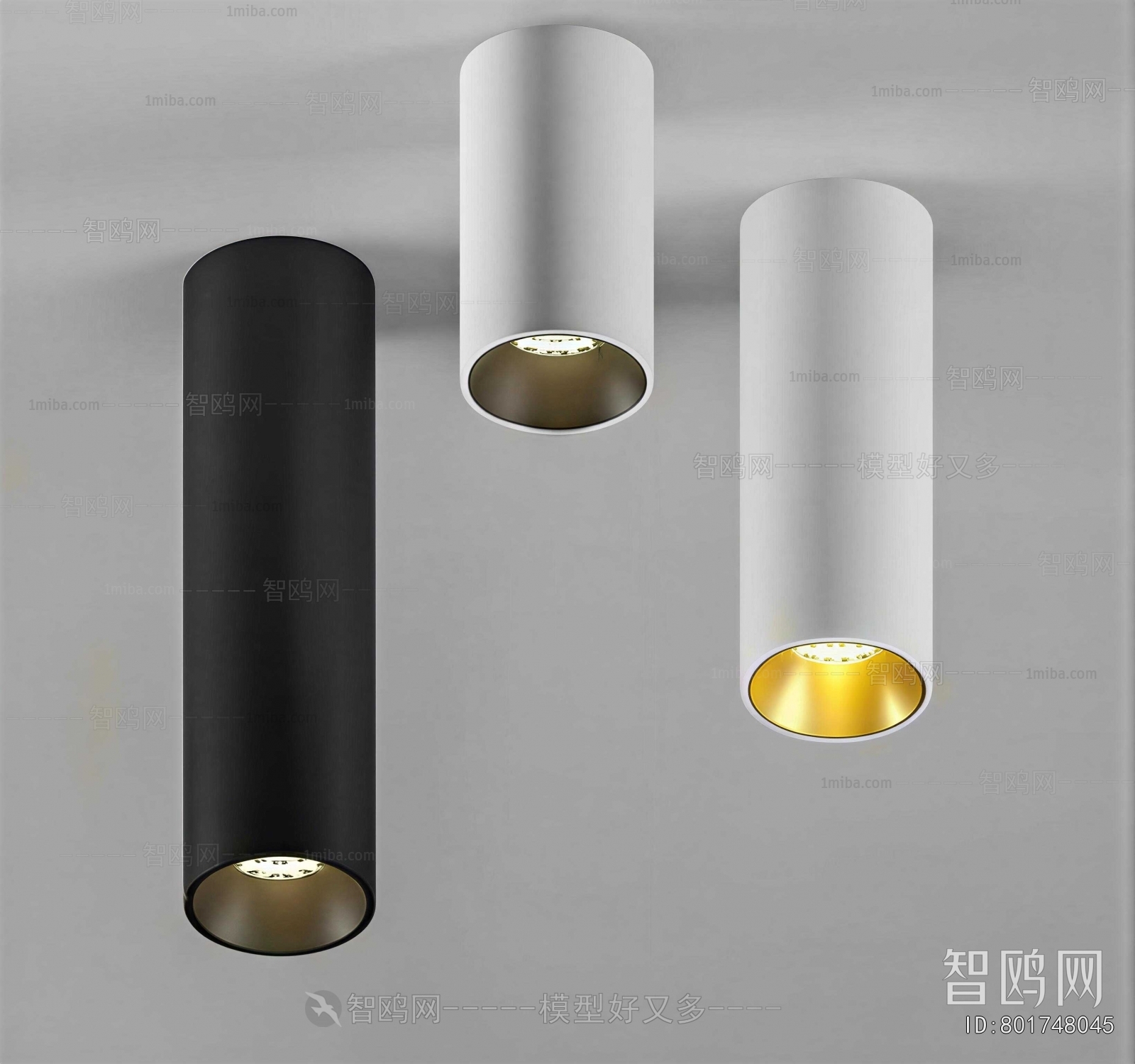 Modern Downlight Spot Light