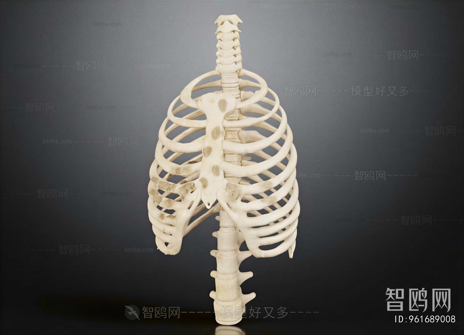 Modern Medical Equipment
