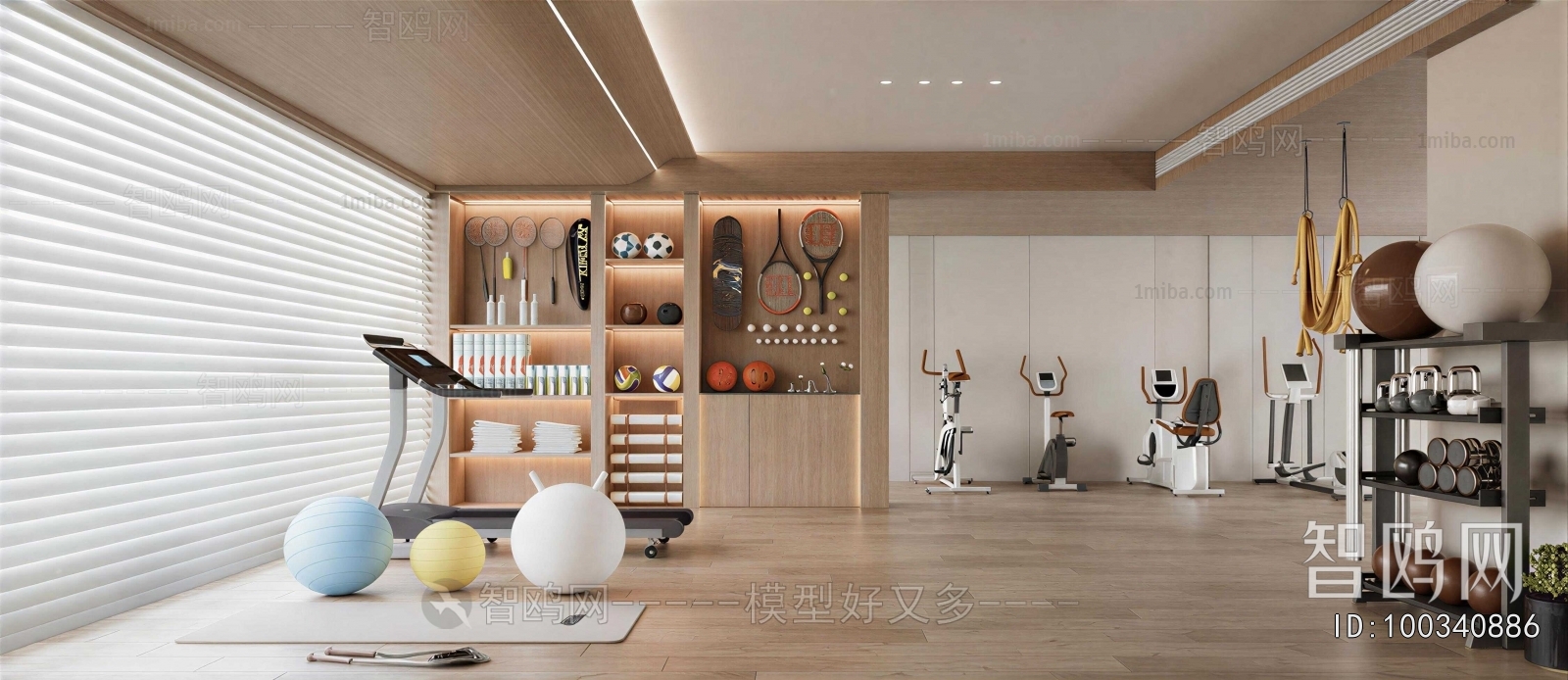 Modern Home Fitness Room